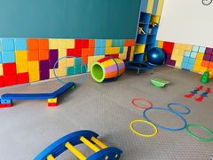 -早慧树儿童感觉统合体能训练中心(市北校区)