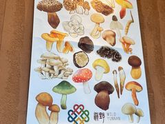 -滇野云南野生菌餐厅(陕西南路店)