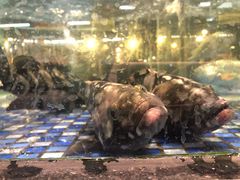 -大门水乡·顺德菜