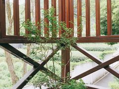 -随意茶庄·地道杭帮农家菜(梅家坞店)