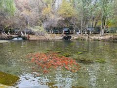 -水磨沟公园