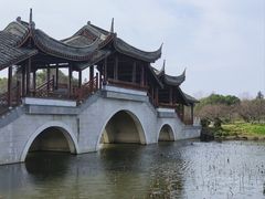 -上海海湾国家森林公园