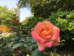 -苏州河梦清园环保主题公园