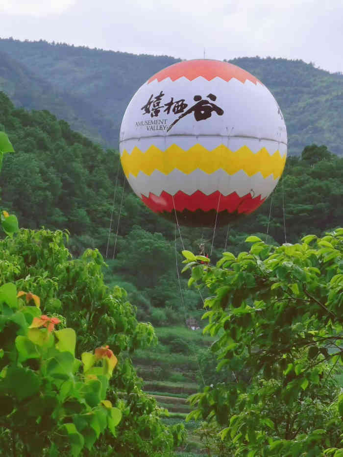 后岭花开·嬉栖谷-"最近各个村镇都在发展旅游项目[偷笑]城南.