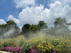 -松山湖梦幻百花洲