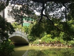 -小洲村