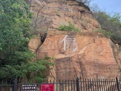 -北京西山国家森林公园