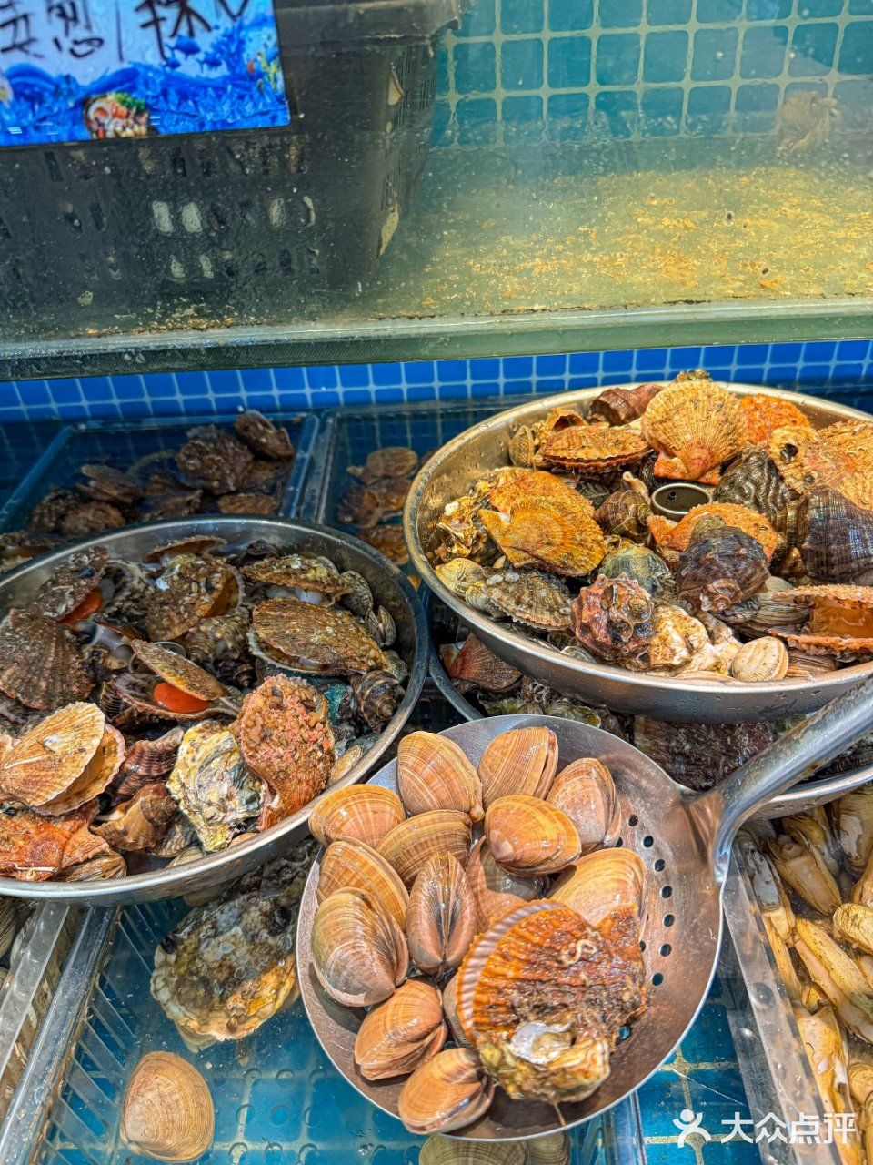 带爸妈吃秦皇岛！捞饭鲜到想打包！！