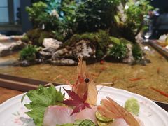 -森味薪火烧•烧鸟居酒屋•日本料理(望京店)
