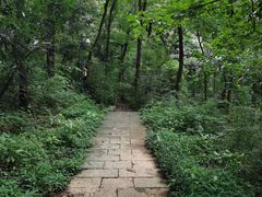 -九曜山