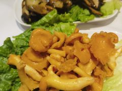 -爱膳菌锅锅(阳南店)