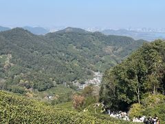 -十里琅珰