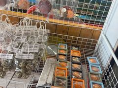 -蓝湾碧波·老字号·疍家非遗海上餐厅