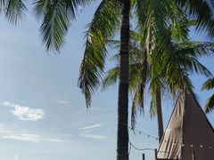 -清水湾旅游度假区