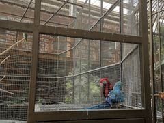 -南宫五洲植物乐园