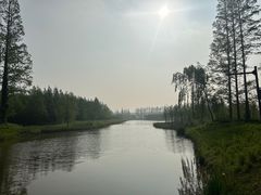 -黄海国家森林公园