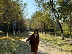 -长白岛森林公园