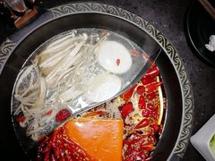 -锅说大脸毛肚重庆老火锅(佐阾店)