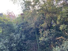 -天目湖御水温泉·度假酒店