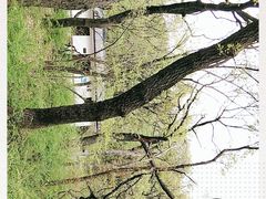 -皇藏峪国家森林公园