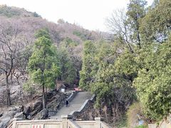 -泰山风景名胜区