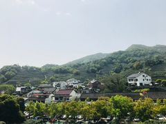 -龙井村