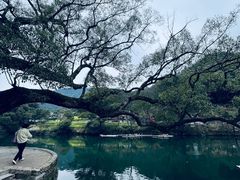 -上坦村