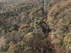 -紫金山索道-售票处