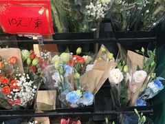 -溪岸路花鸟市场