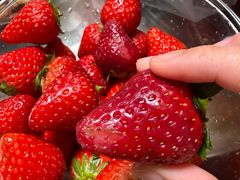 -乐乐鲜果水果超市(河北店)