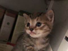 -上海市龙华烈士陵园