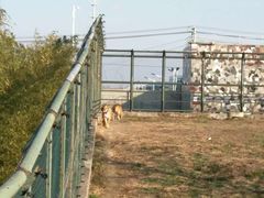 -宿豫区运河湾森林动物园