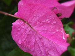 -瑞幸咖啡(沙河世纪广场一层店)