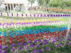 -武清南湖绿博园