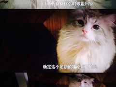 -英皇UA电影城(虹桥天地店)