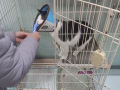 -嘉馨宠物医院·CT影像转诊·心脏科·犬猫全科诊疗中心(下沙大学城院区)