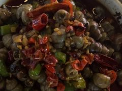 -唐力九头鸟烧烤·罗田吊锅(西云楼店)