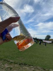 -优沃得自然教育农场·冰雪乐园·生日会·研学