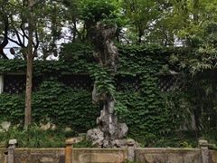 -惠山古镇·寄畅园