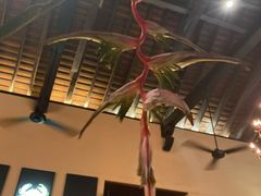 -Ministry of Crab(科伦坡店)