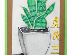 -缤纷鸟美术书法(建大校区)