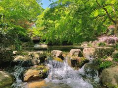 -中国茶叶博物馆(双峰馆区)