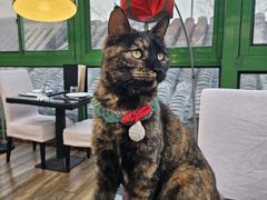 -EATALIA意塔利意式餐厅(鼓楼店)