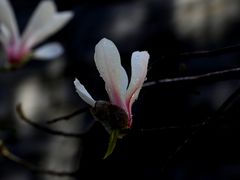 -东华门大街小区