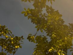 -白塘生态植物园