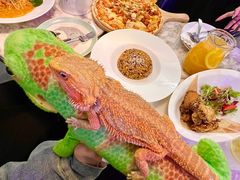 -FAIRYLAND龙族星球主题餐厅(凯丹广场店)