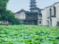 -乌镇望津里精品酒店