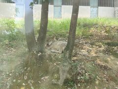 -泉州海丝野生动物世界