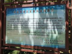 -北京鹫峰国家森林公园