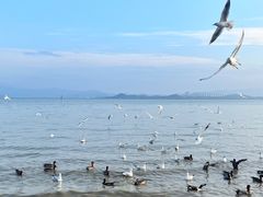 -深圳湾公园(南山区)